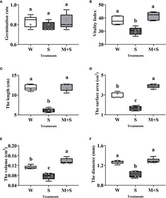 Exogenous melatonin enhances cell wall response to salt stress in common bean (Phaseolus vulgaris) and the development of the associated predictive molecular markers